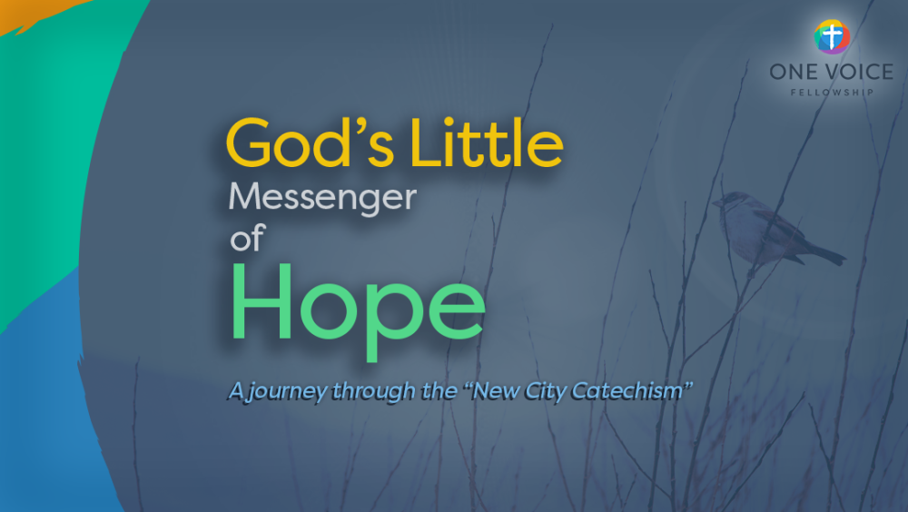 God's little messenger of hope Image