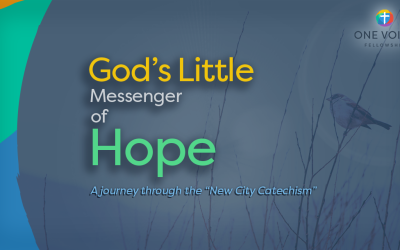 God’s little messenger of hope