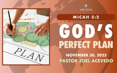 God’s Perfect Plan