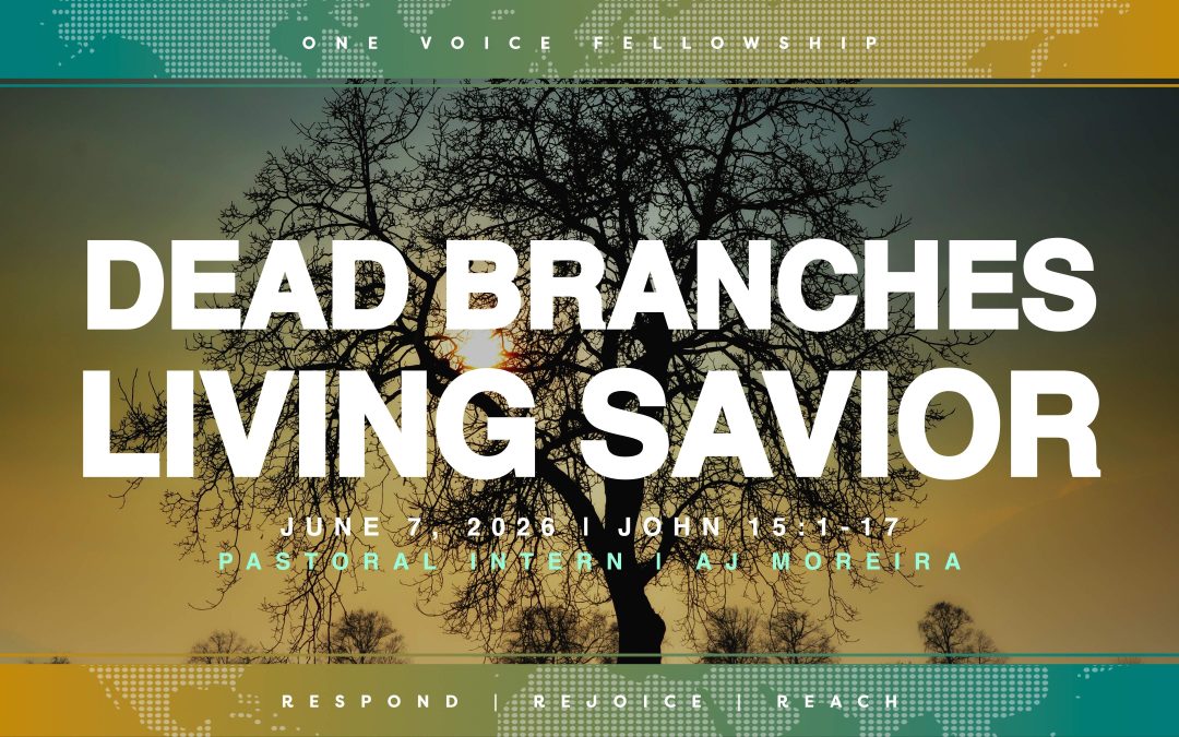 Dead Branches, Living Savior