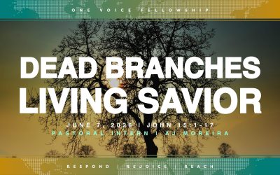 Dead Branches, Living Savior