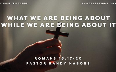 What We Are Being About While We Are Being About It